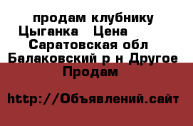 продам клубнику Цыганка › Цена ­ 500 - Саратовская обл., Балаковский р-н Другое » Продам   